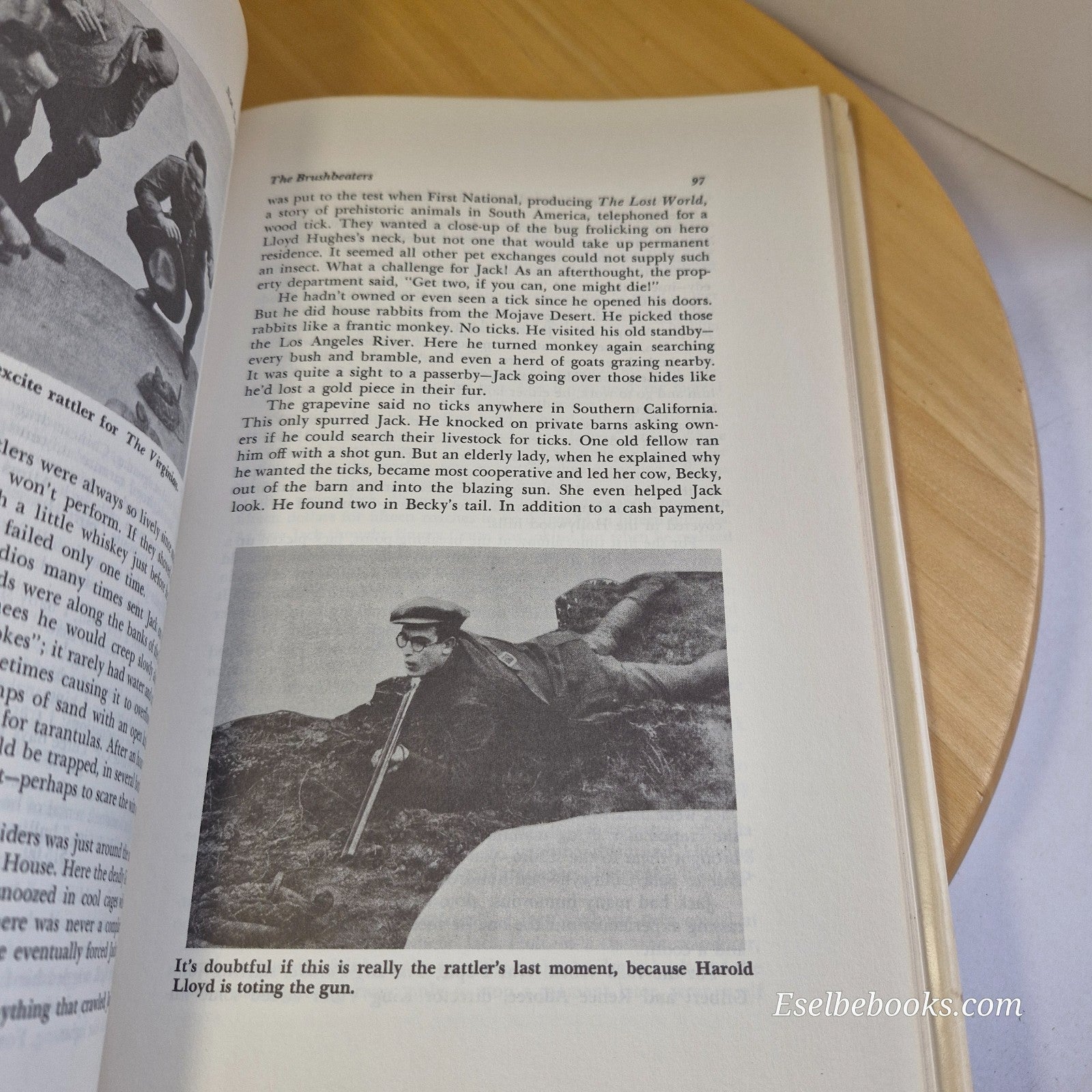 Not so Dumb : the Life and Times of the Animal Actors by Raymond Lee - hardback