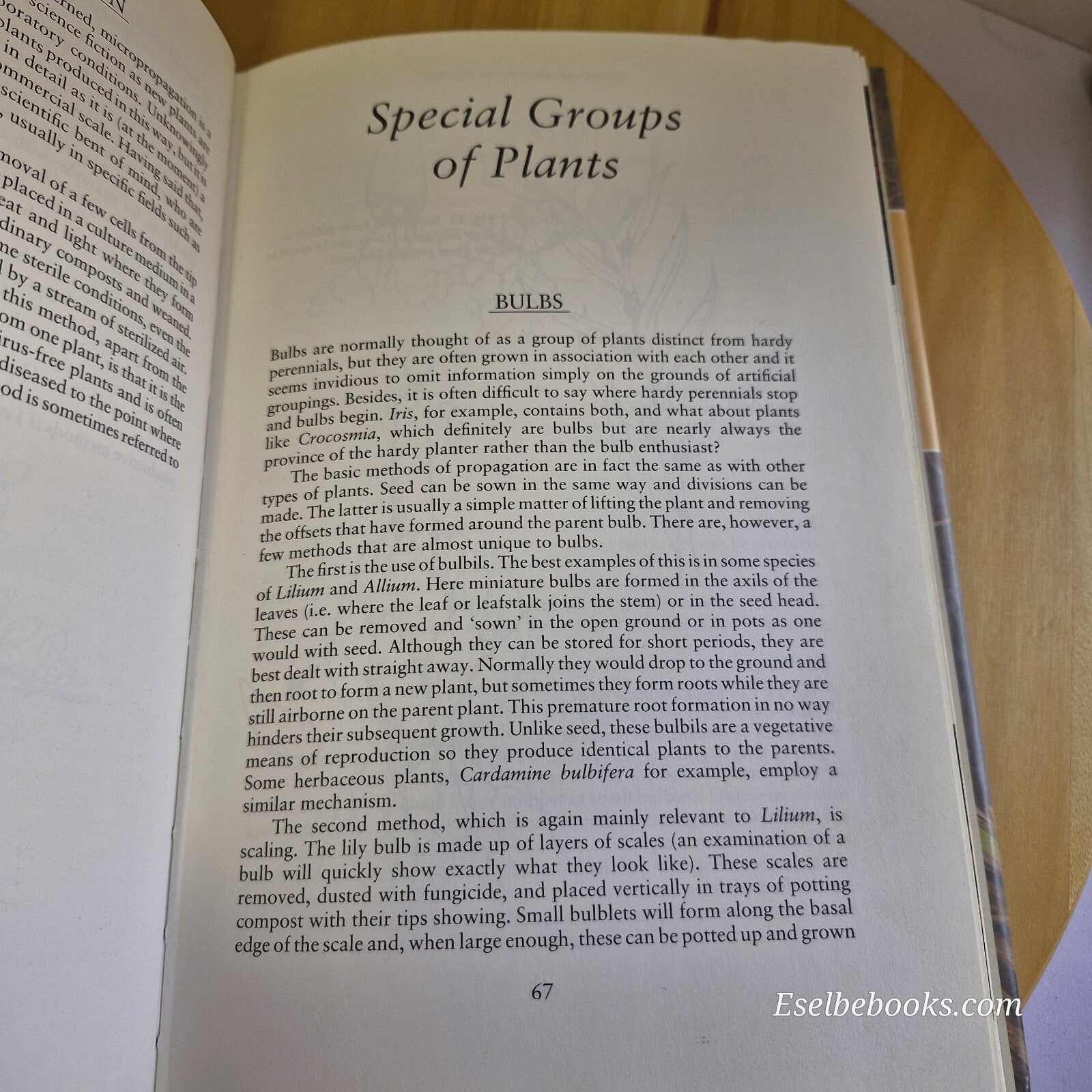 Flora: Propagation of Hardy Perennials By Richard Bird · 1993 - hardback with...