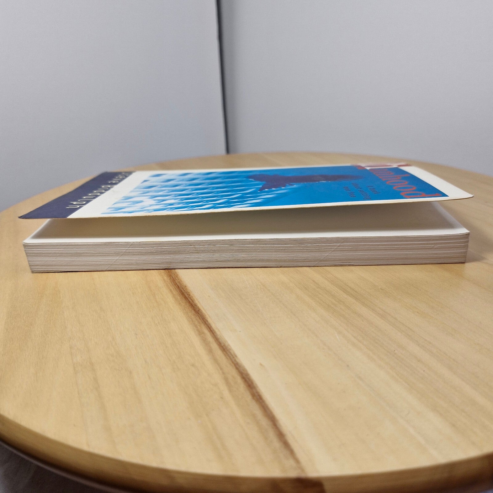 Self-help: Manhood An Action Plan for Changing Men's Lives By Steve Biddulph ...