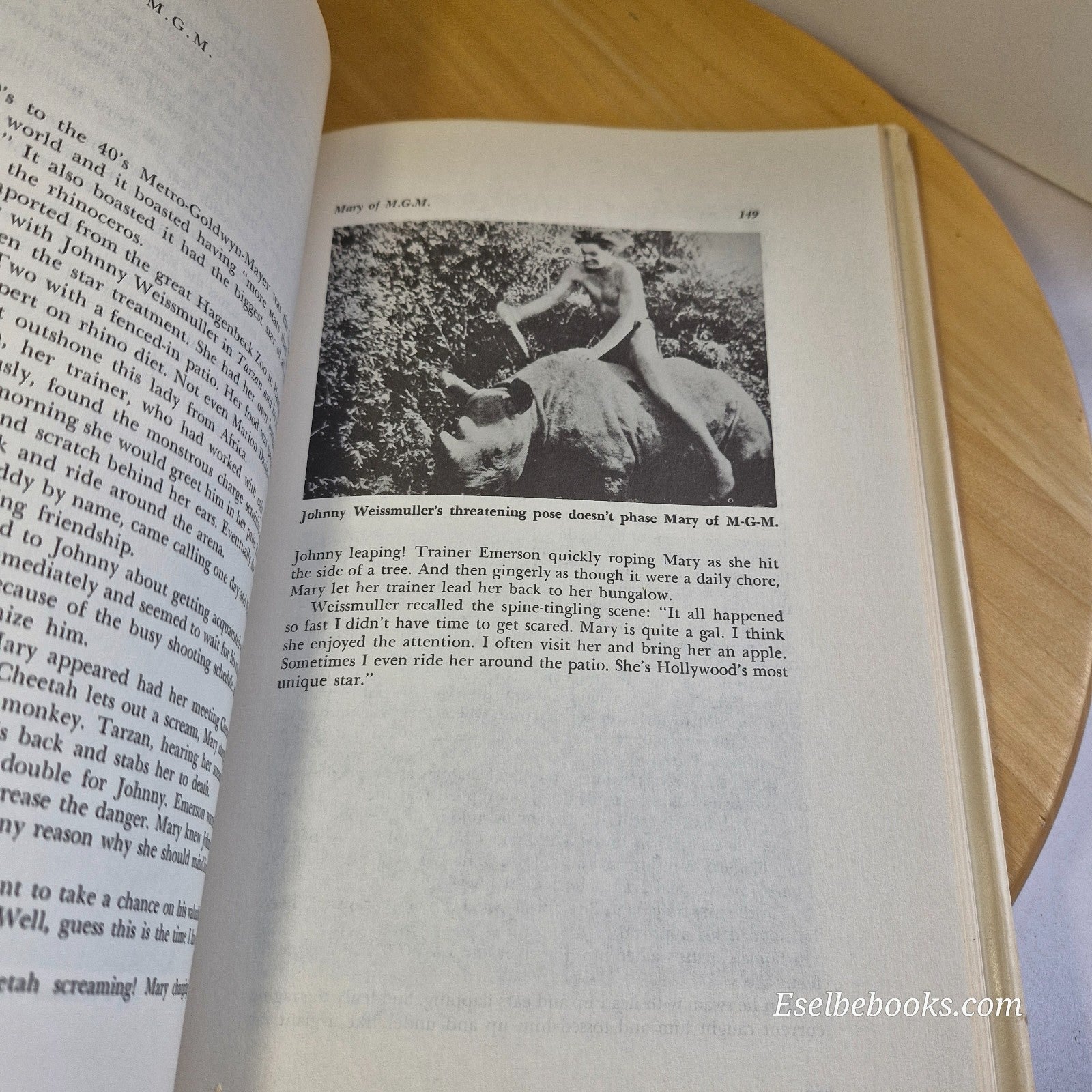 Not so Dumb : the Life and Times of the Animal Actors by Raymond Lee - hardback