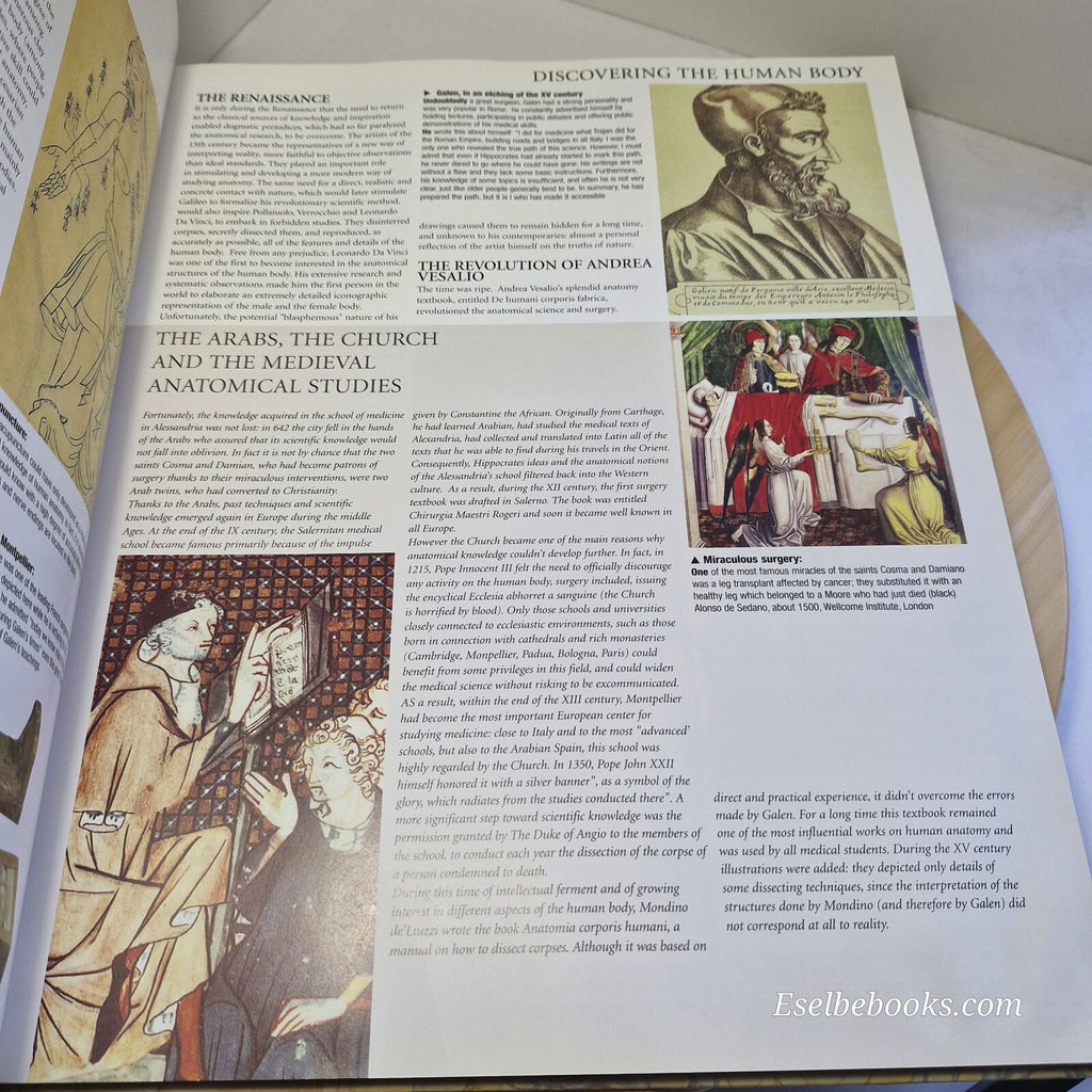 Human Anatomy By Giovanni Iazzetti · 2006 - large hardback