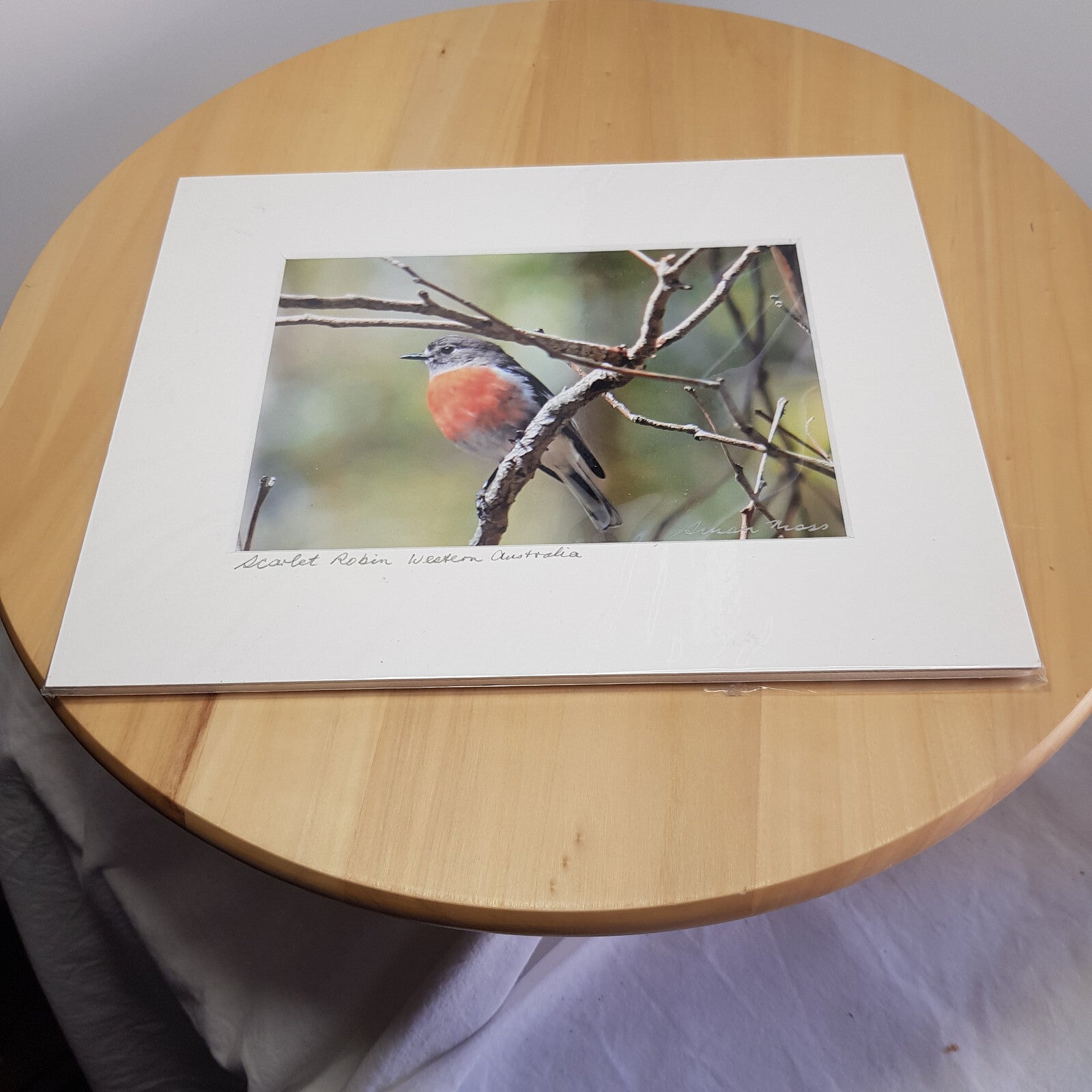 Susan Moss photography - 2 bird photos - Blue wren/Scarlet wren