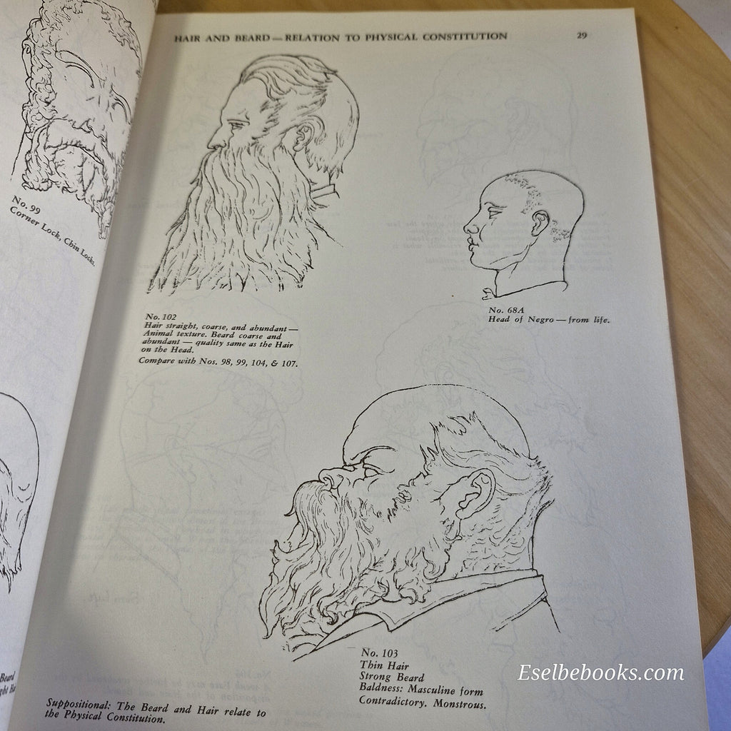 Art: Art Anatomy by William Rommer - vintage paperback