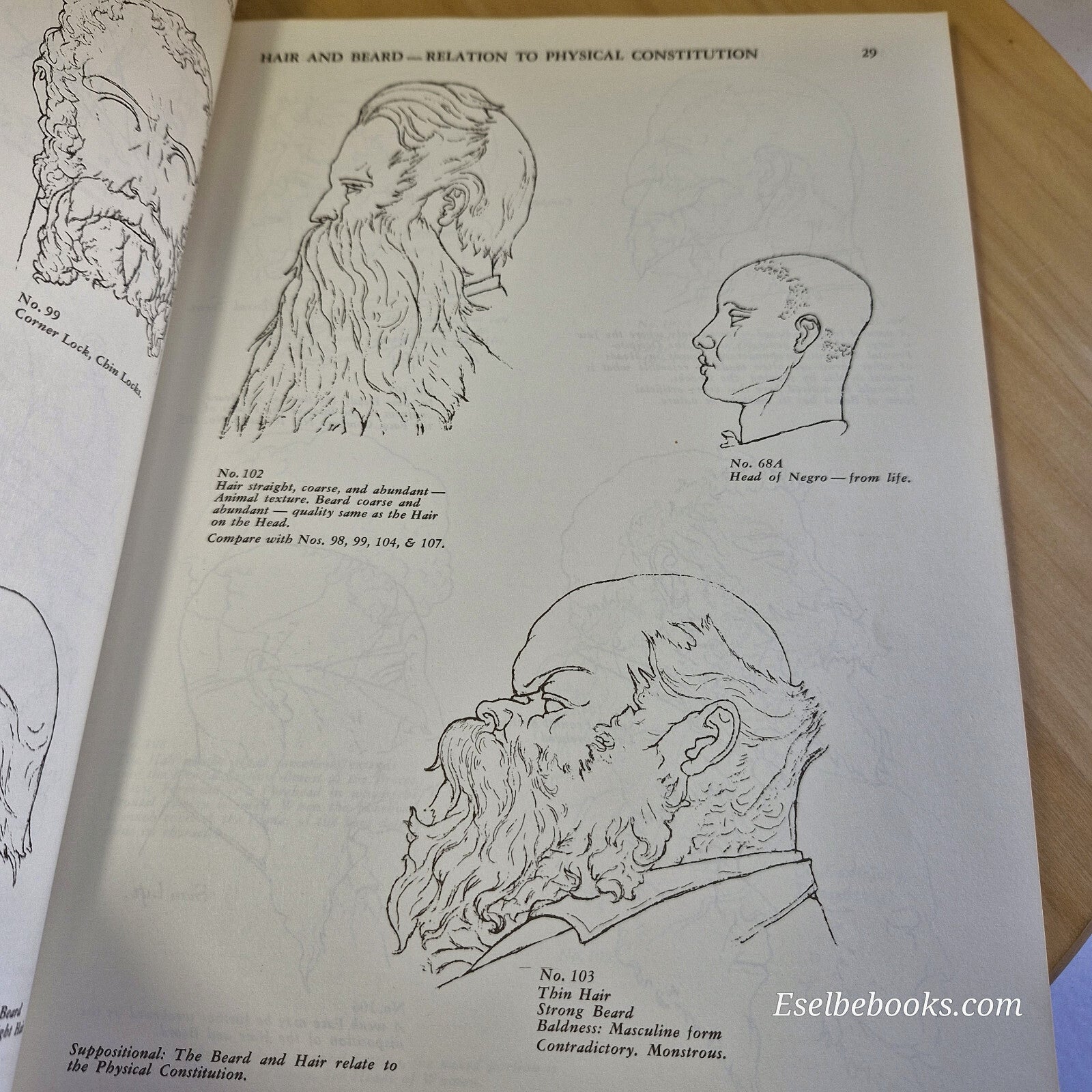 Art: Art Anatomy by William Rommer - vintage paperback
