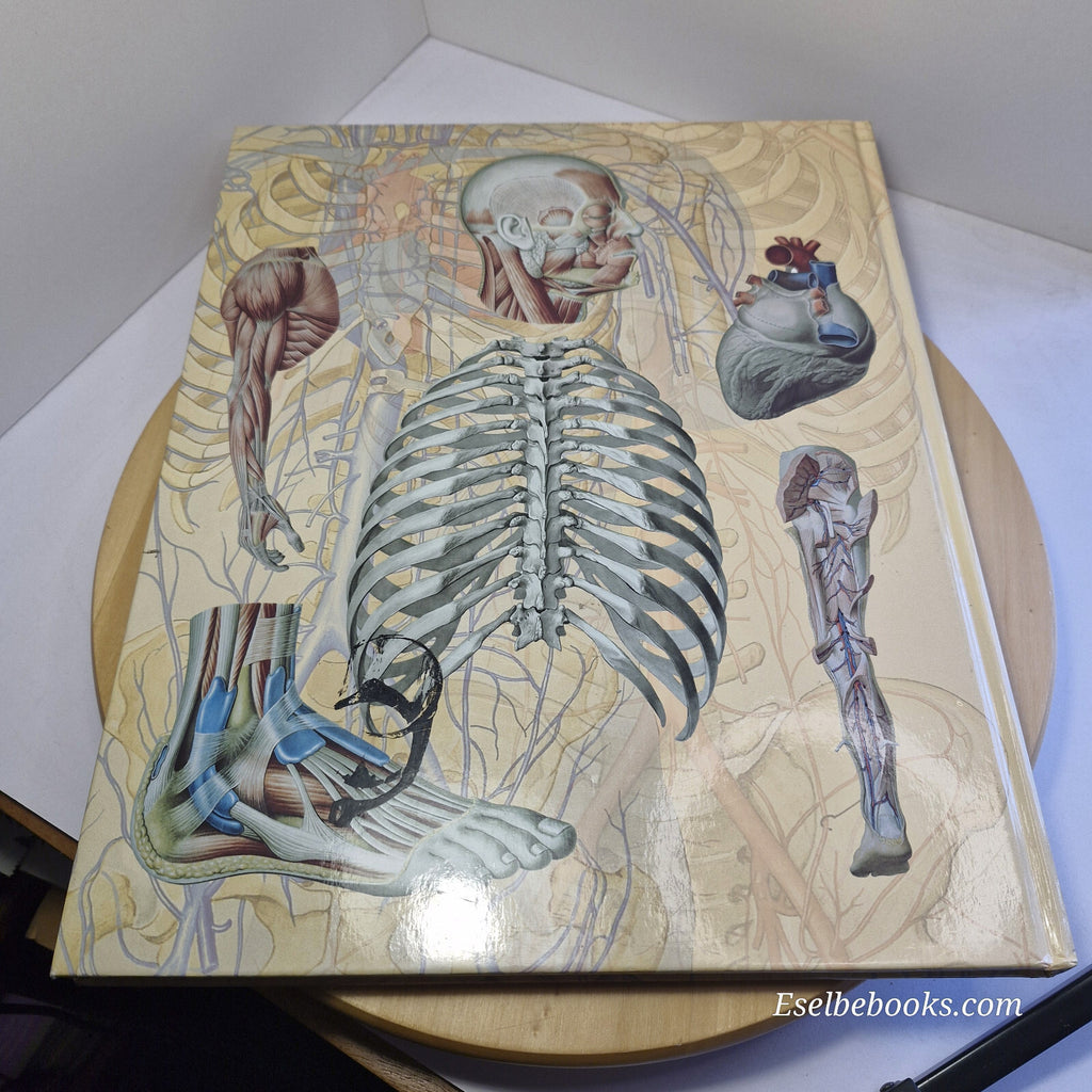 Human Anatomy By Giovanni Iazzetti · 2006 - large hardback