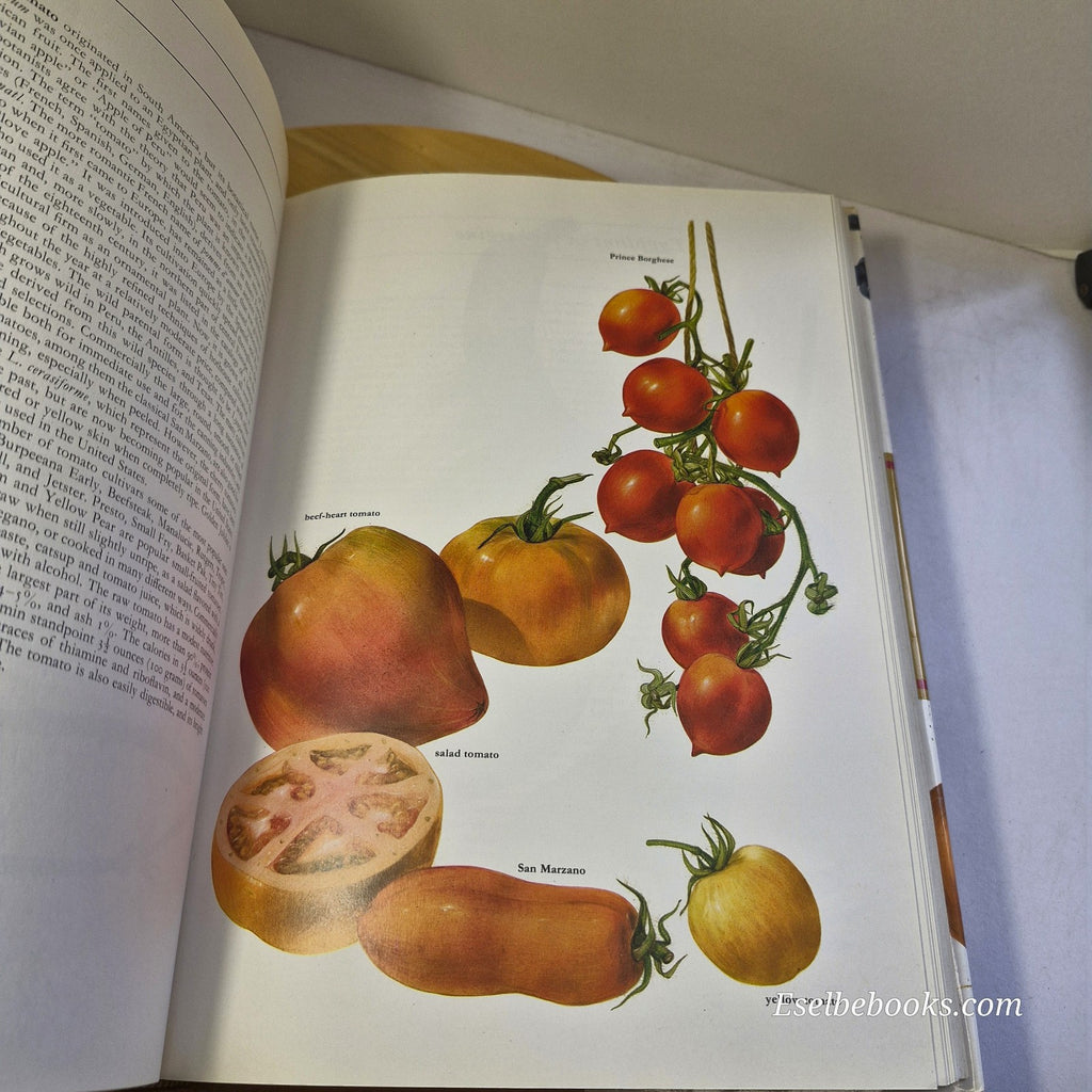 Fruits of the Earth by Bianchini Corbetta & Pistoia - hardback