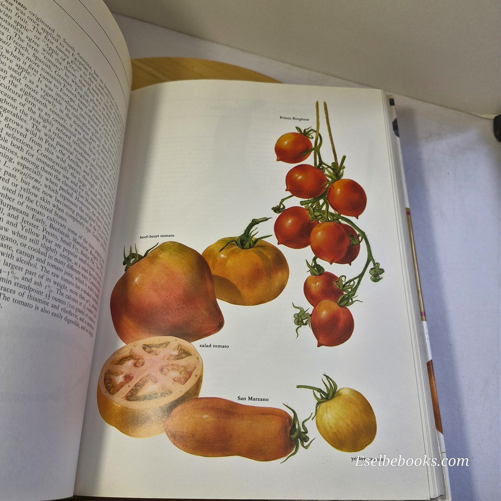 Fruits of the Earth by Bianchini Corbetta & Pistoia - hardback