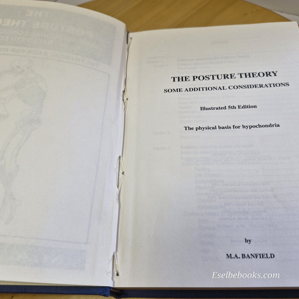 The Posture Theory Some Additional Considerations By M. A. Banfield · 1994 - ...
