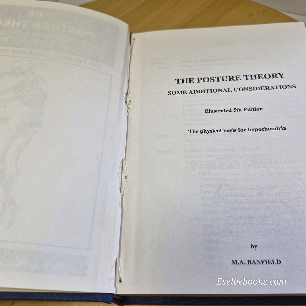 The Posture Theory Some Additional Considerations By M. A. Banfield · 1994 - ...