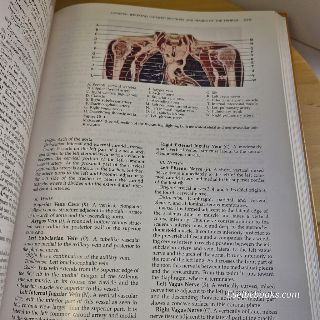 Modern Sectional Anatomy By Alexander Lane & Hossein Sharfaei · 1992 - hardback