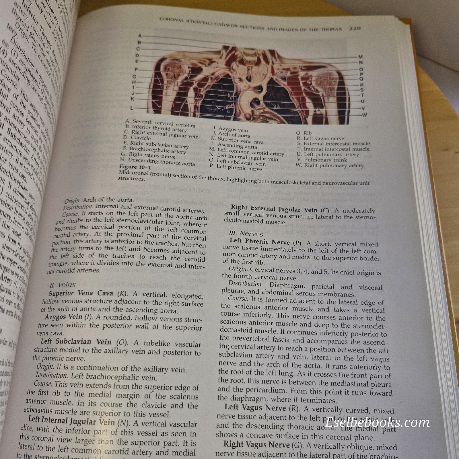 Modern Sectional Anatomy By Alexander Lane & Hossein Sharfaei · 1992 - hardback