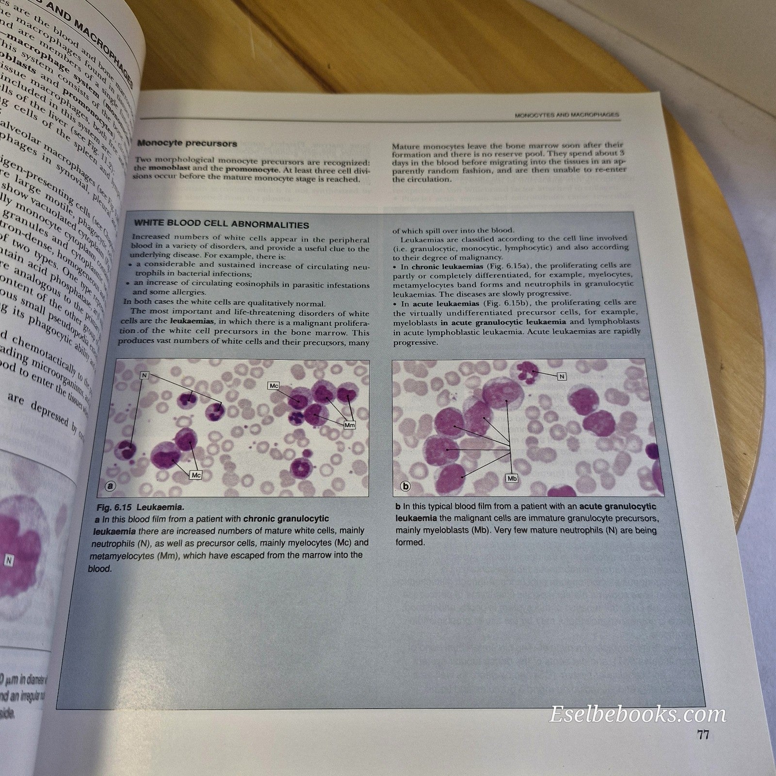 Histology by Alan Stevens & James Lowe - paperback