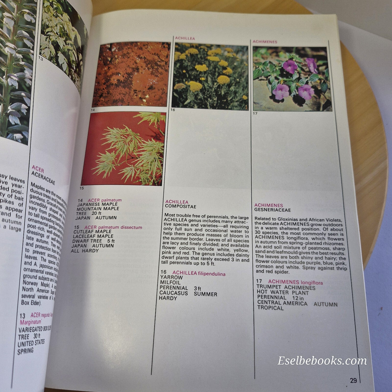 Australian flora: What Flower is That? By Stirling Macoboy · 1980