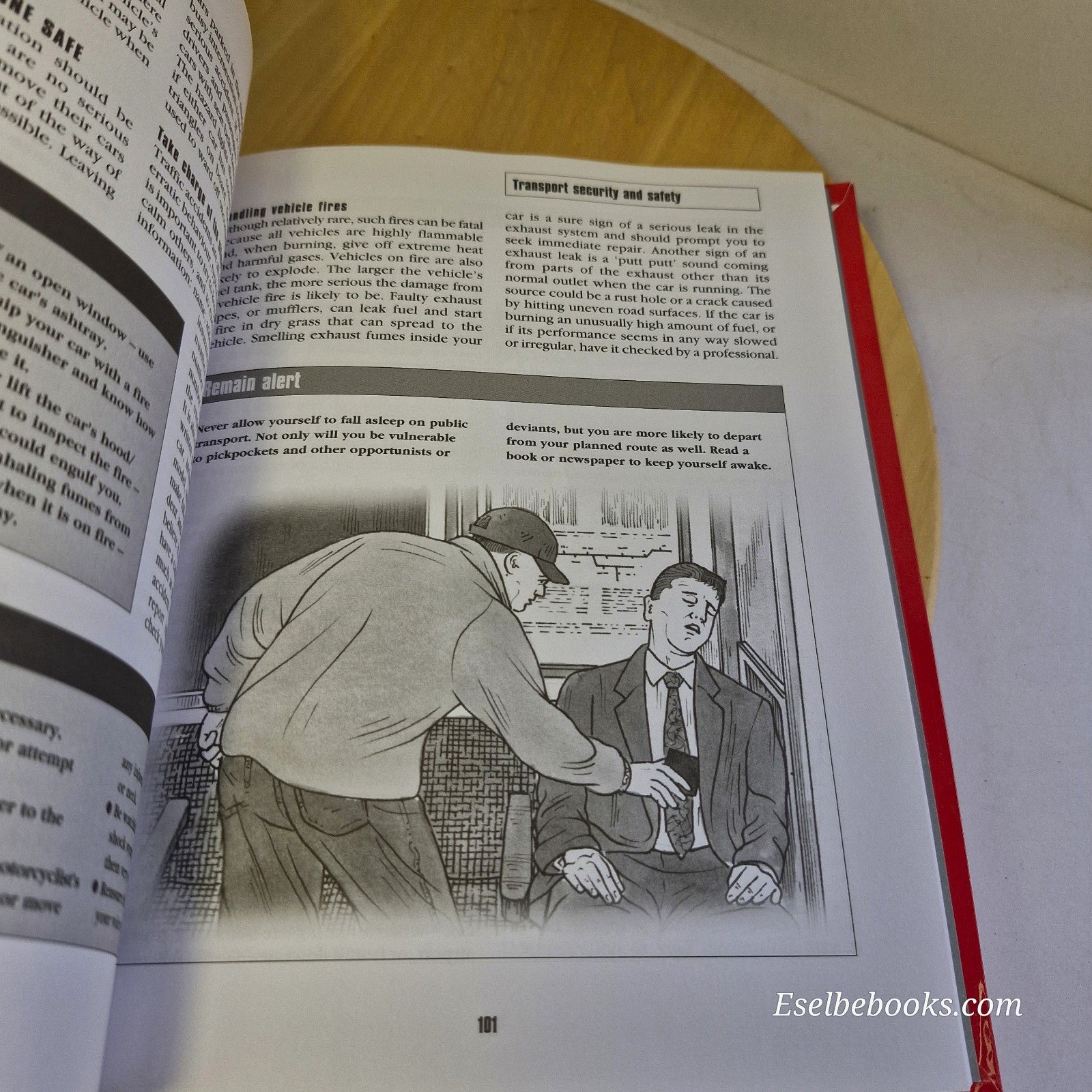 How to Survive in the City: Protecting yourself - paperback