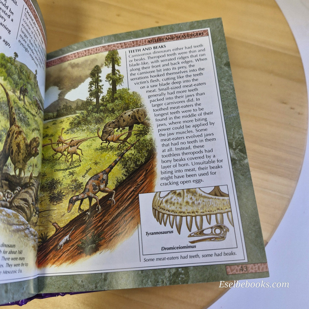 Mini Children's Reference: Encyclopedia of dinosaurs - hardback