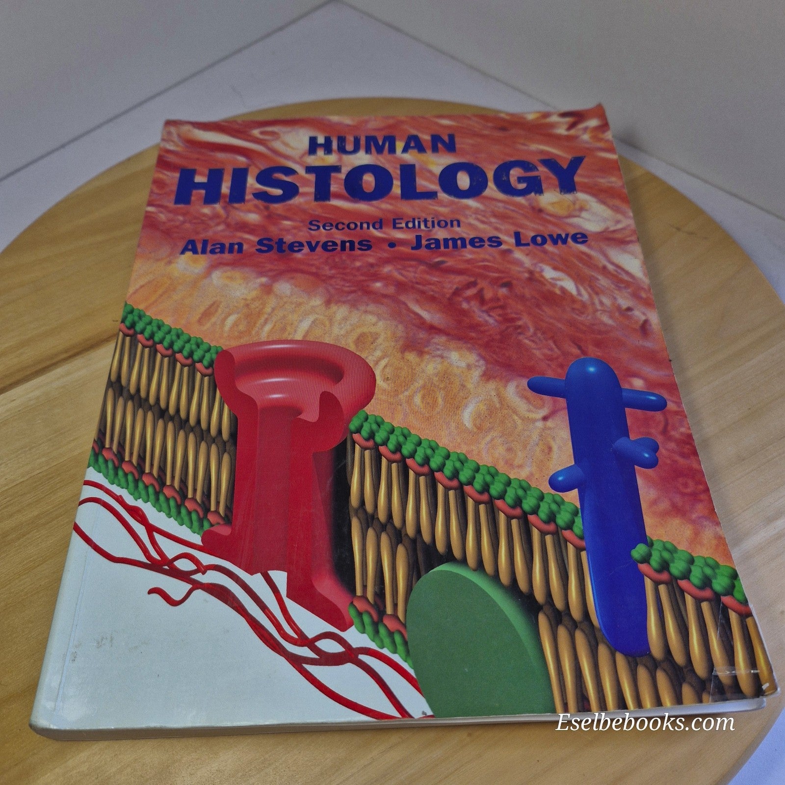 Human Histology 2nd edition by Alan Stevens & James Lowe