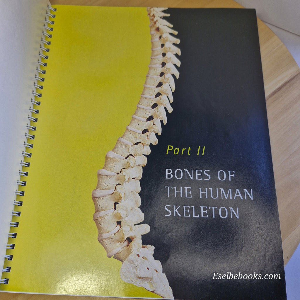 A Brief Atlas of the Human Body - Matt Hutchinson Second Edition Spiral Textbook