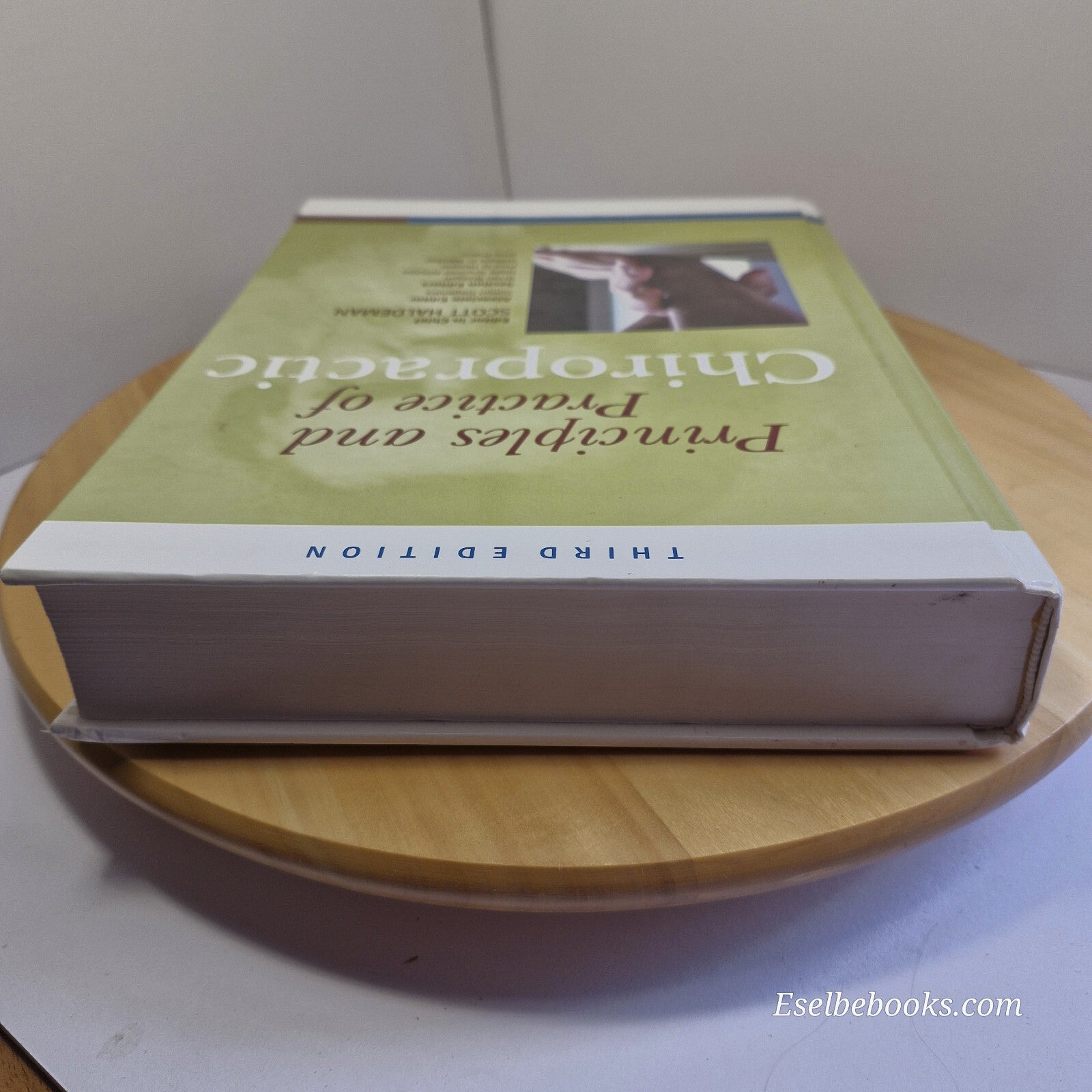 Principles and Practice of Chiropractic, Third Edition 2005 - hardback