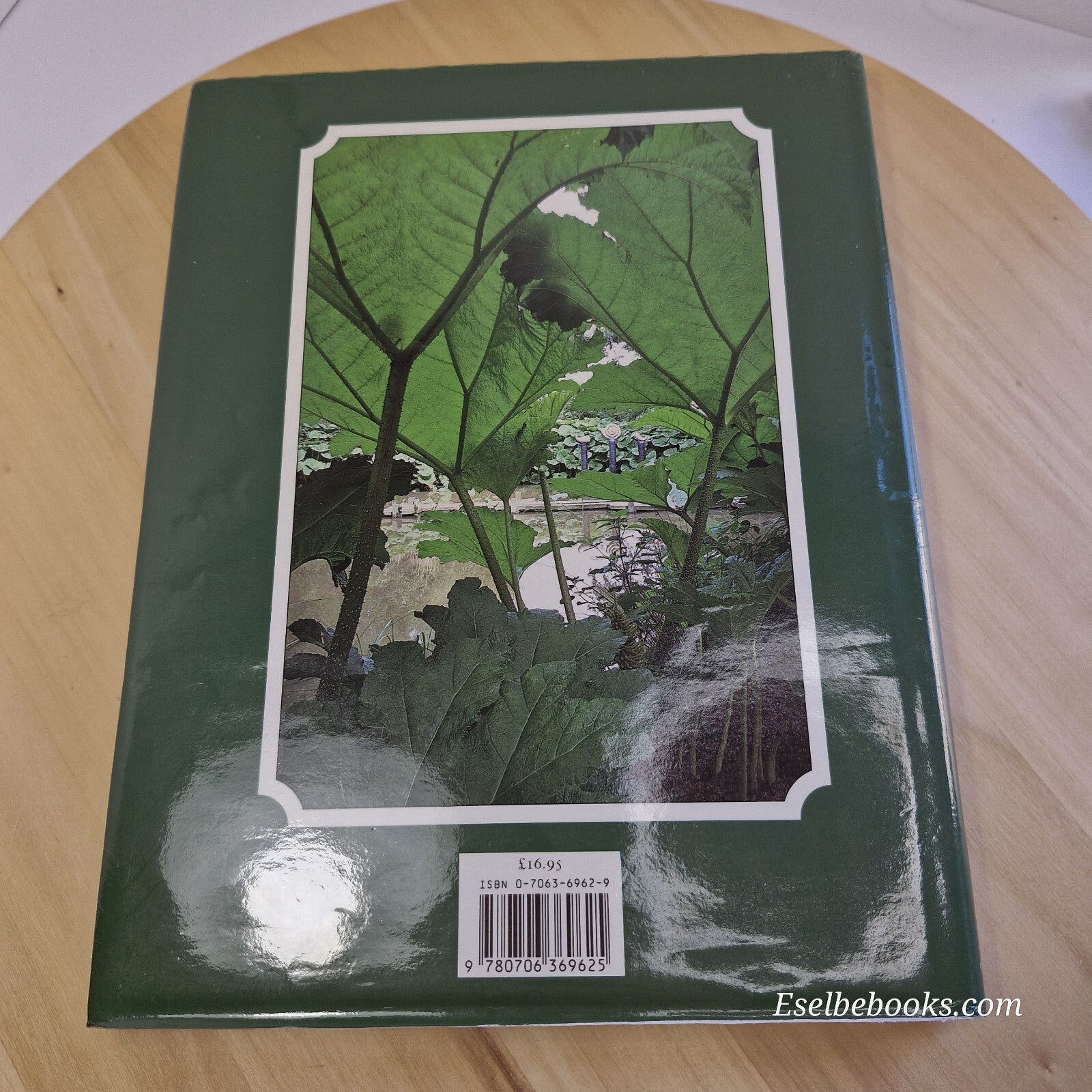 Architectural Foliage Shape, Form and Texture of Foliage Plants in Garden Des...