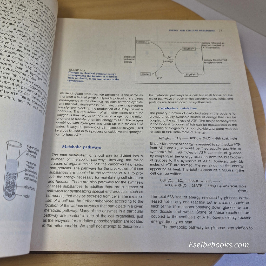 Textbook: Human Physiology The Mechanisms of Body Function By Vander, Sherman...