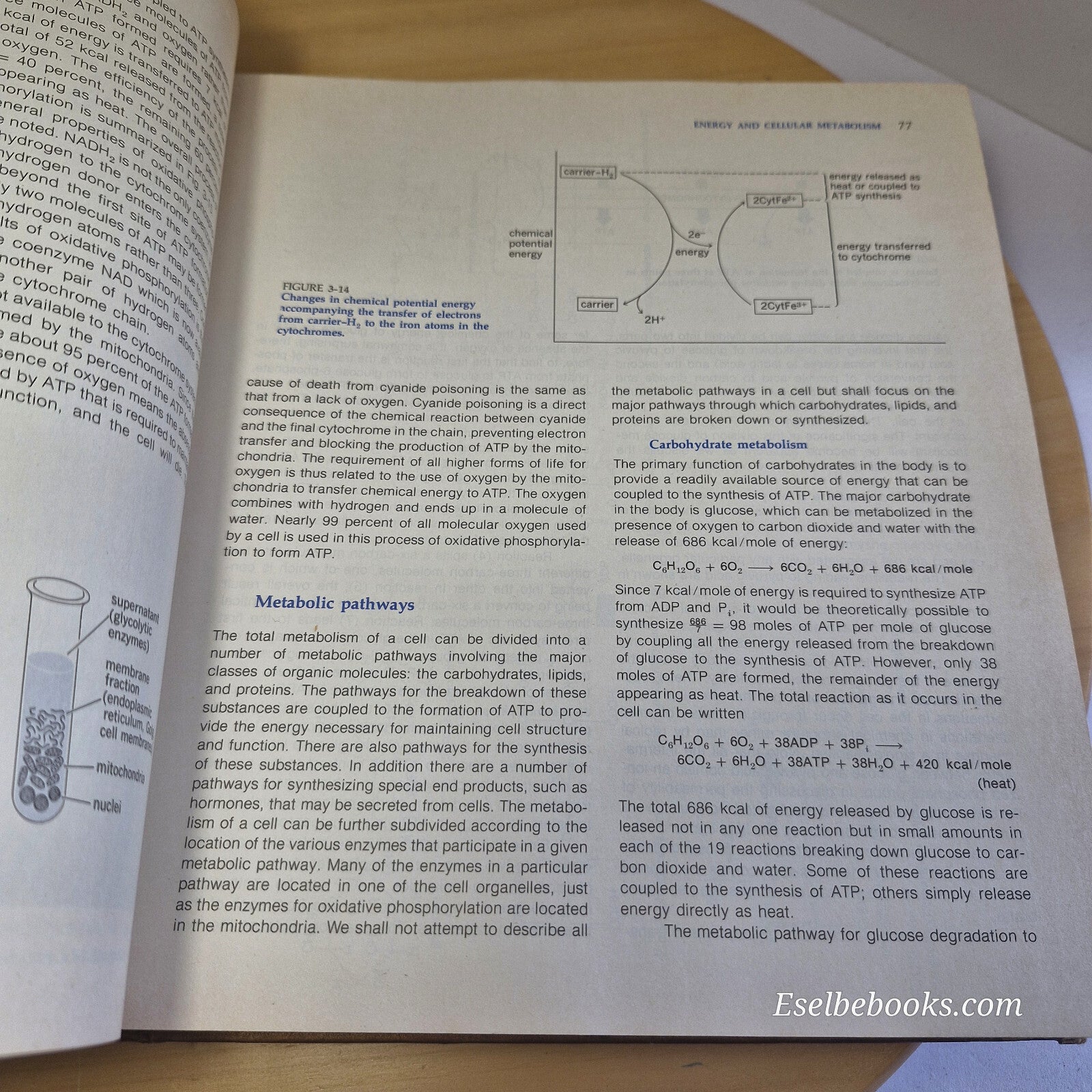 Textbook: Human Physiology The Mechanisms of Body Function By Vander, Sherman...