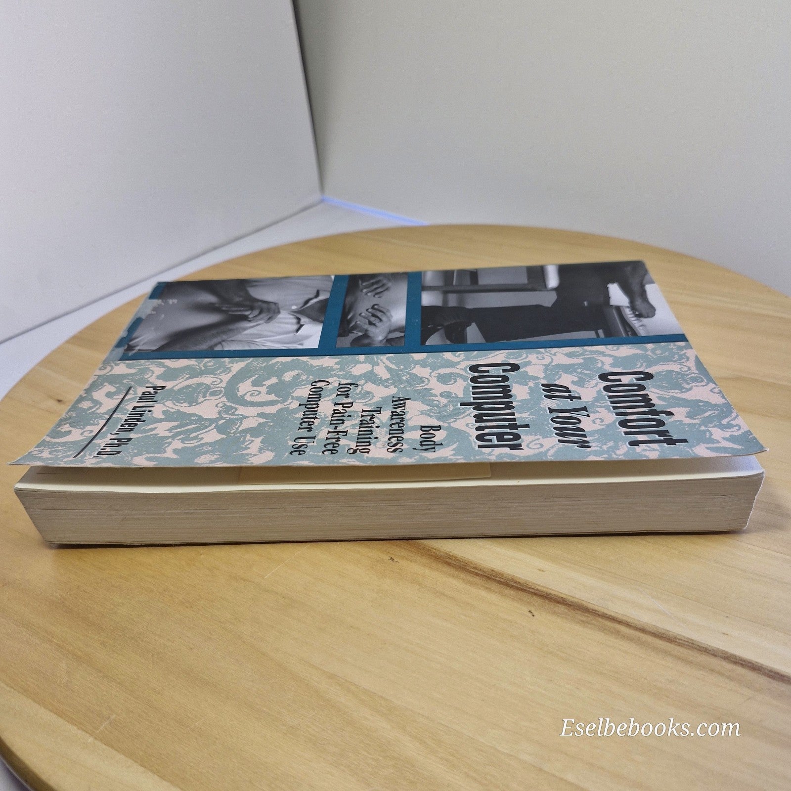 Comfort at Your Computer: Body awareness training by Paul Linden - paperback