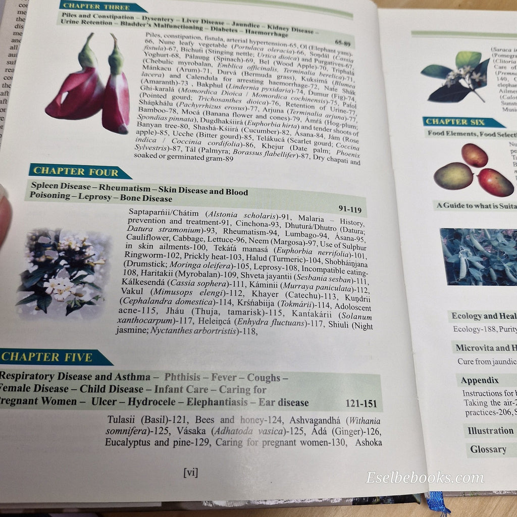 Natural Medicine By Ānandamūrti, Manjusha Gangopadhya · 2011 - hardback