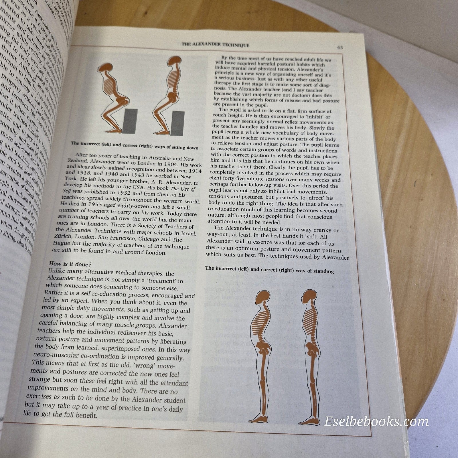 Alternative Medicine A Guide to Natural Therapies By Andrew Stanway · 1982