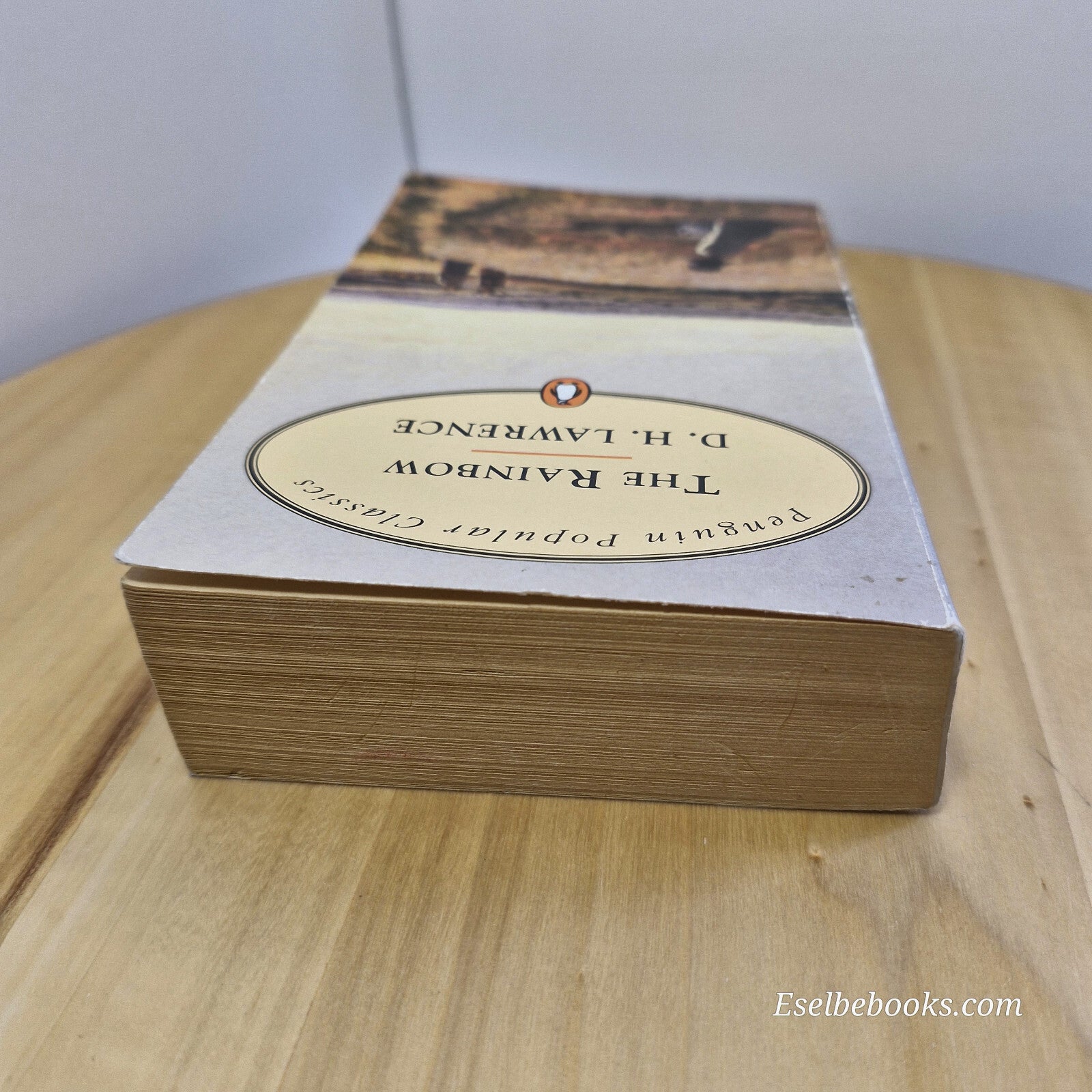 Classic literature: The Rainbow By David Herbert Lawrence · vintage paperback