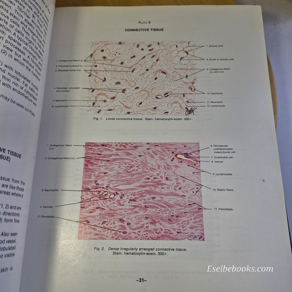 Atlas of Human Histology 5th edition by Mariano S H Di Fiore - hardback