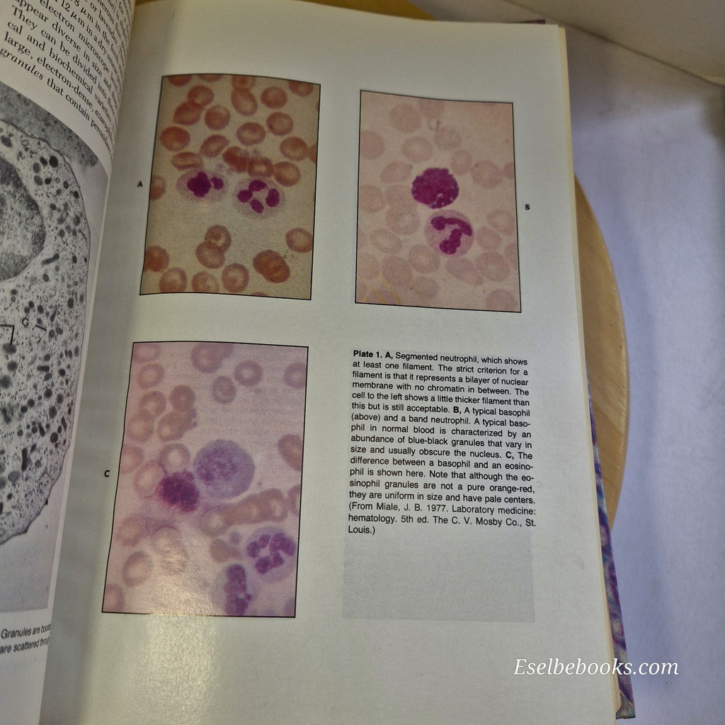 Essentials of histology 8th edition By Gerrit Bevelander, Judith A. Ramaley - HB