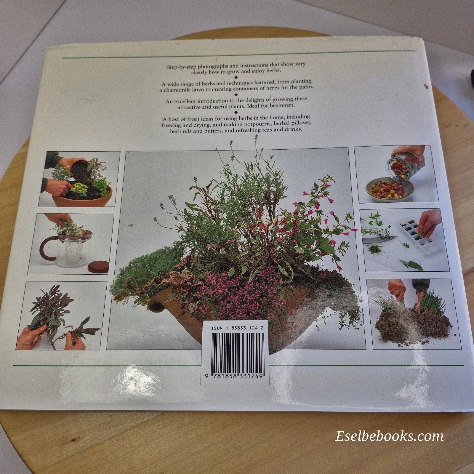 A Creative Step-by-step Guide to Growing Herbs By Yvonne Rees, Rosemary Titte...