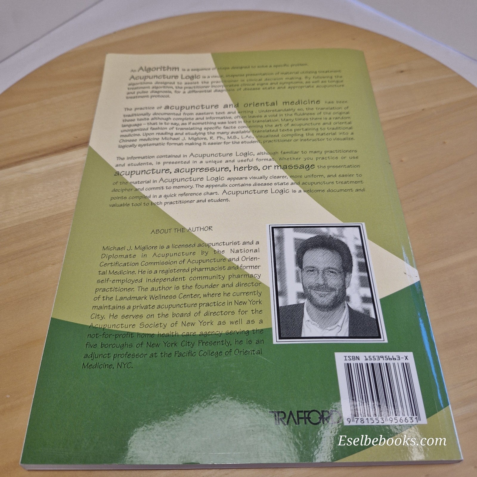 Acupuncture Logic by Michael J. Migliore  - paperback