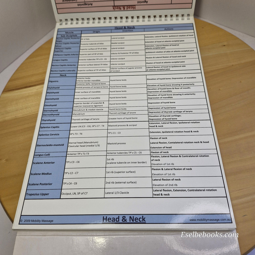 Muscle anatomy - attachments antagonists agonists & actions table top flip chart