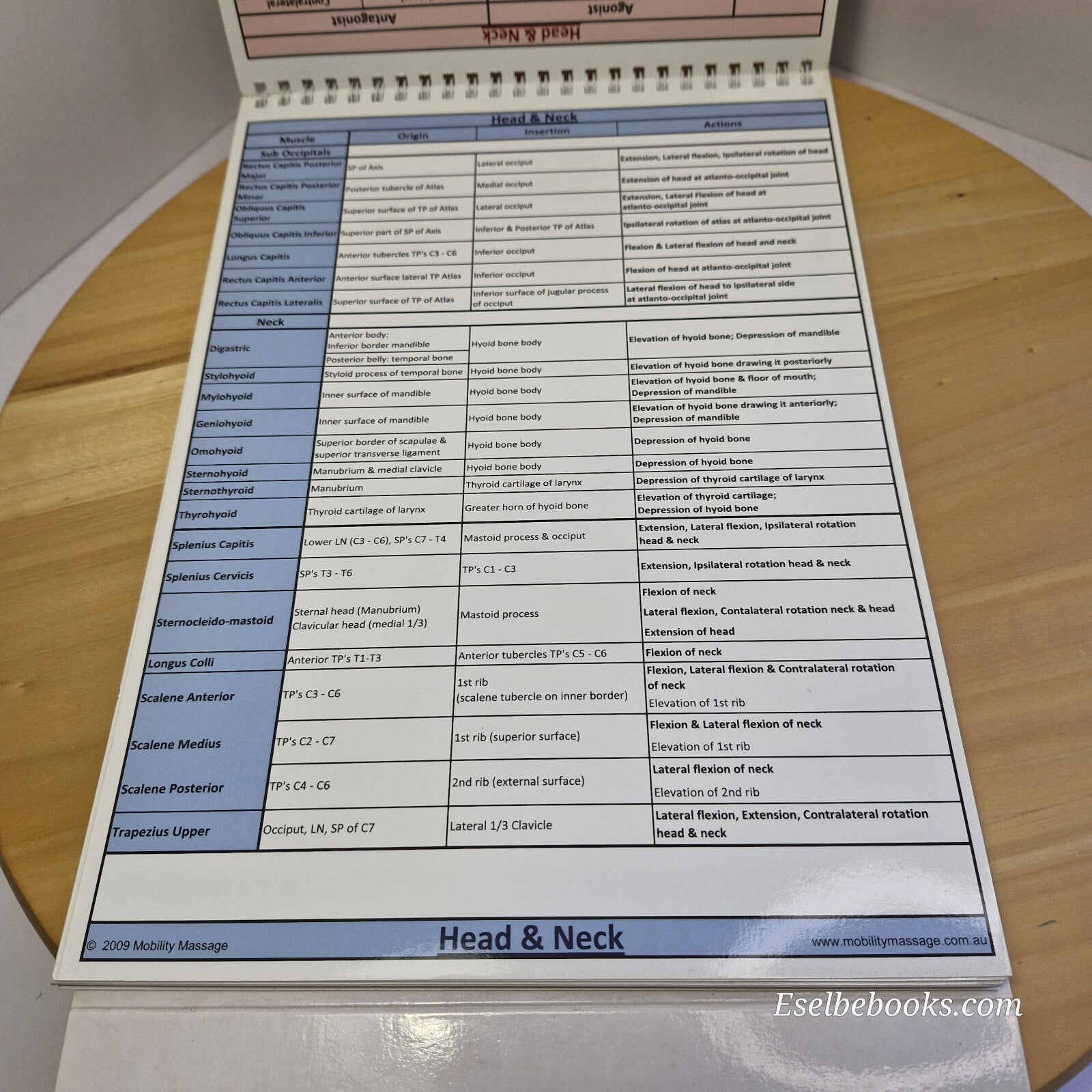 Muscle anatomy - attachments antagonists agonists & actions table top flip chart