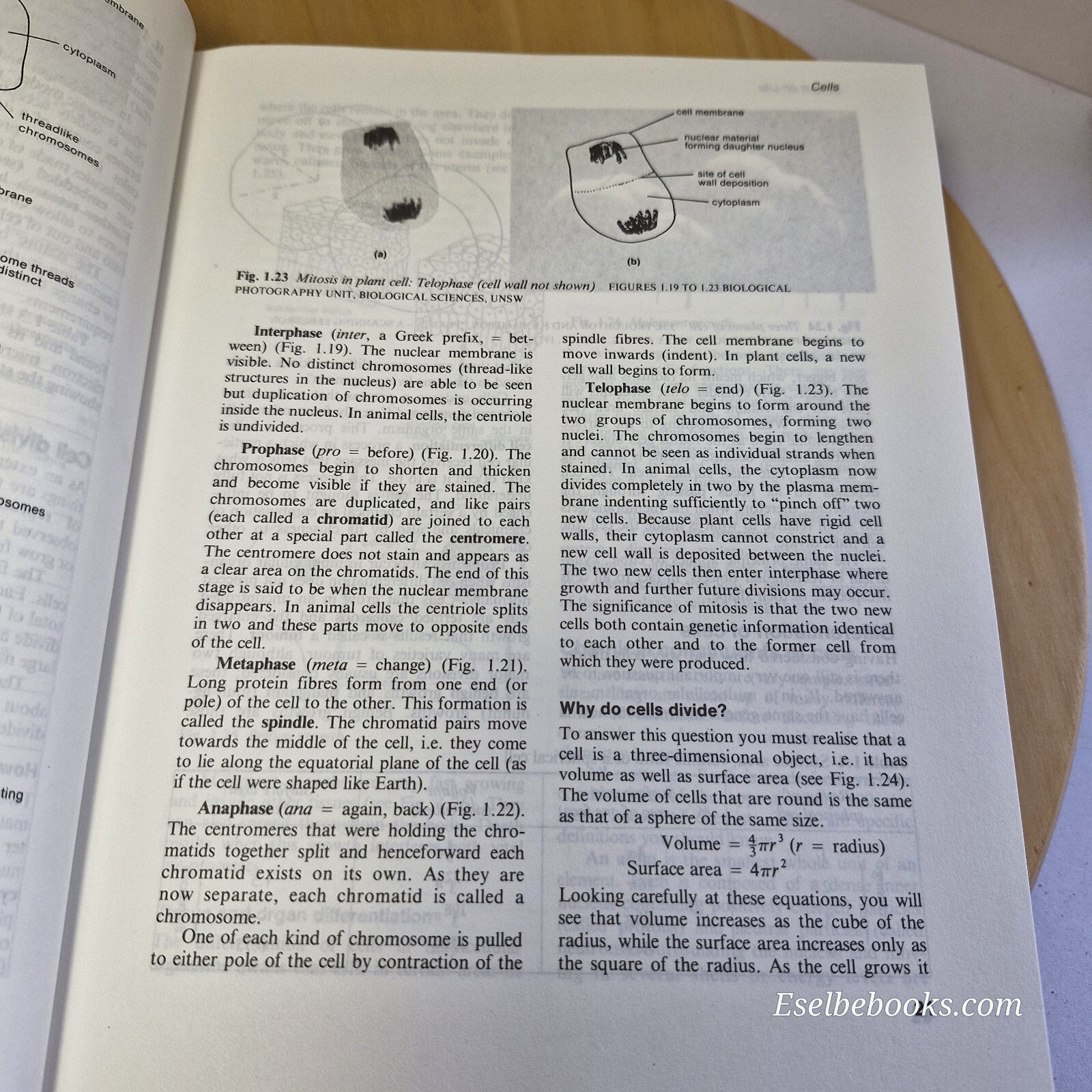 Focus on life - a senior biology course 2nd edition by Kelly/Hatherly/Rosen -...