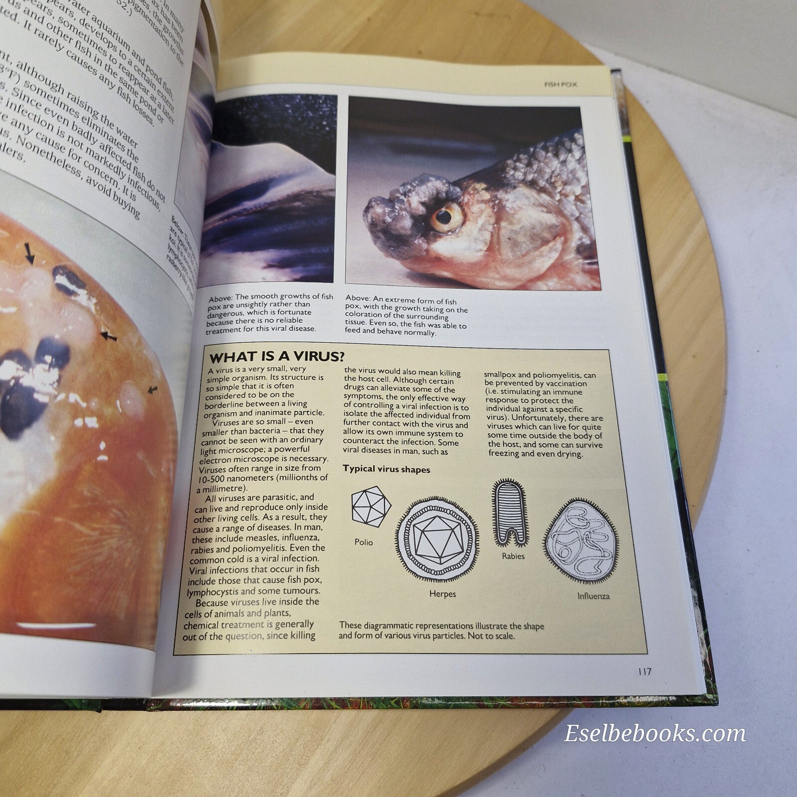 The Interpet Manual of Fish Health By Chris Andrews, Adrian Exell, Neville Ca...