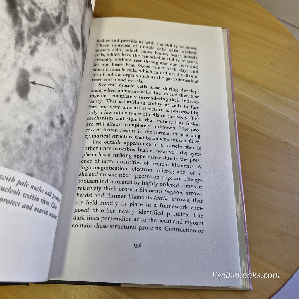 Cells Amazing Forms and Functions By John K. Young · 1990 - hardback with dj