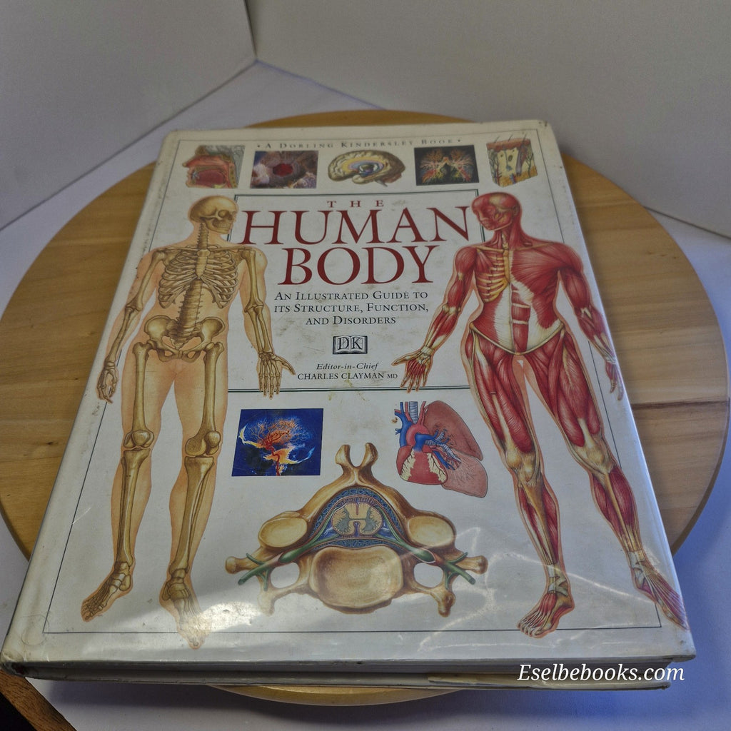 Illustrated Guide to the Human Body by DK Publishing Staff - large hardback