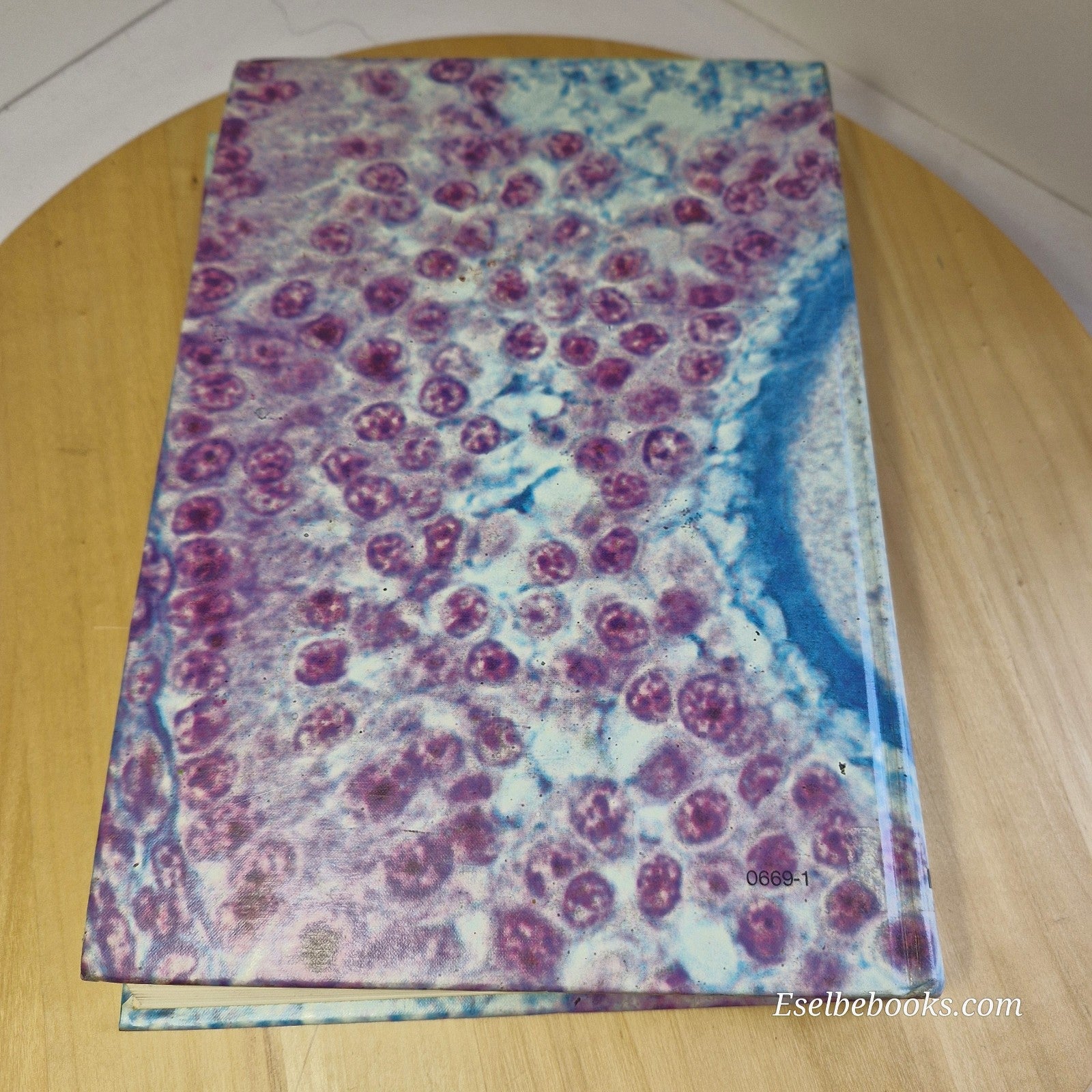 Essentials of histology 8th edition By Gerrit Bevelander, Judith A. Ramaley - HB