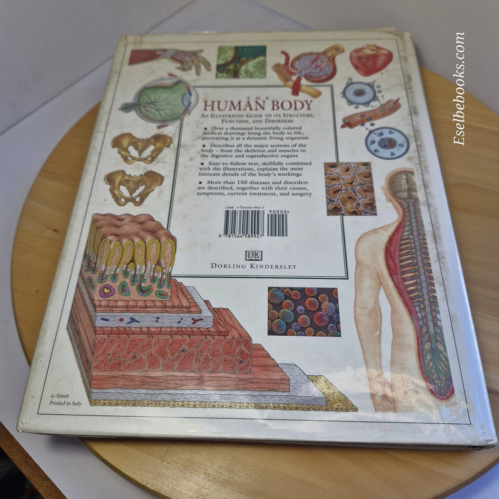 Illustrated Guide to the Human Body by DK Publishing Staff - large hardback