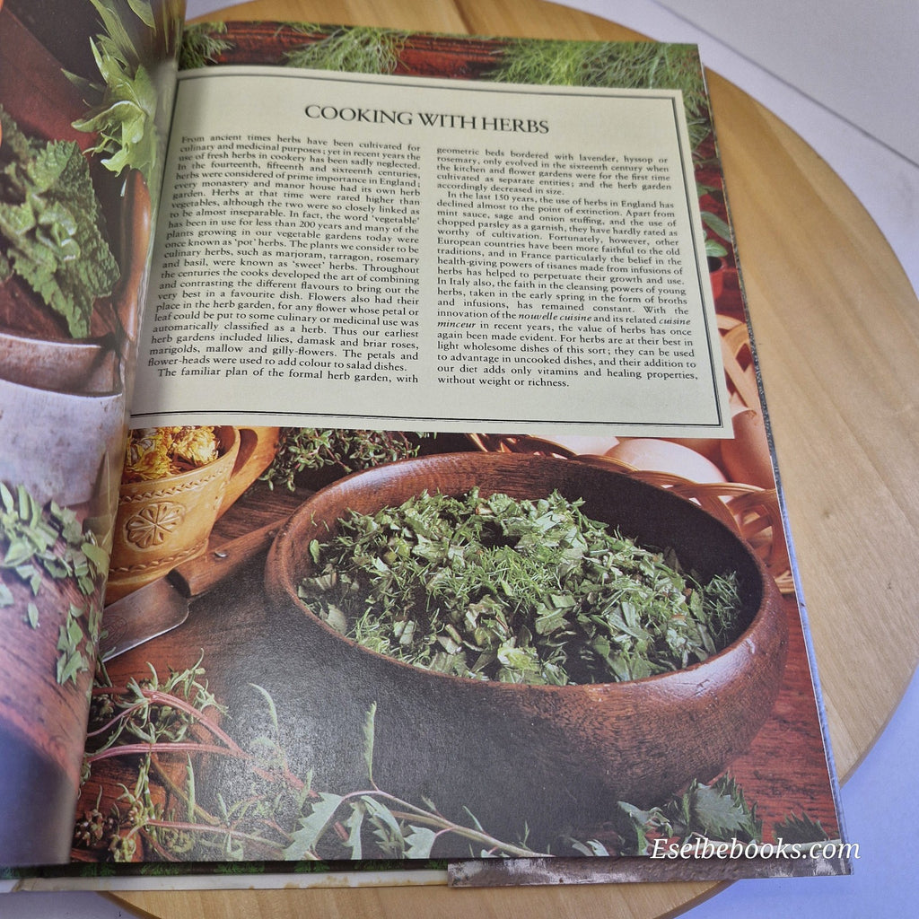 The Herb Book by Arabella Boxer & Philippa Back 1989 Herbal Guide hardback/dj