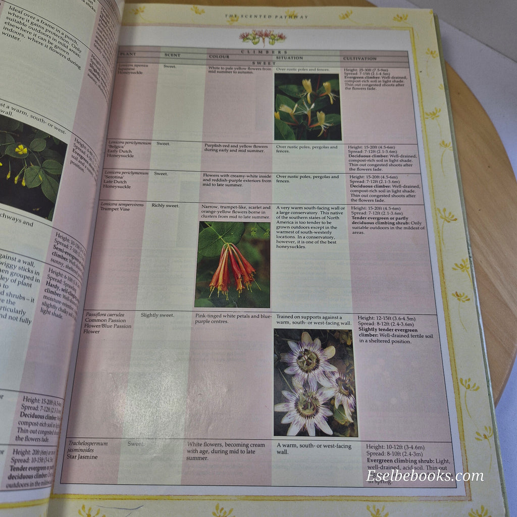 The Scented Garden How to Grow and Use Beautiful Plants to Create a Harmony o...