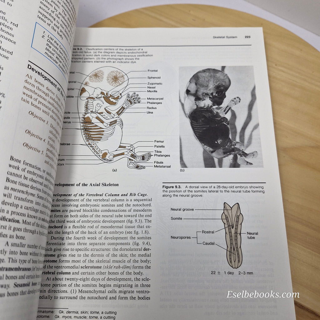 Health: Concepts of human anatomy and physiology By Kent M. Van De Graaff, St...