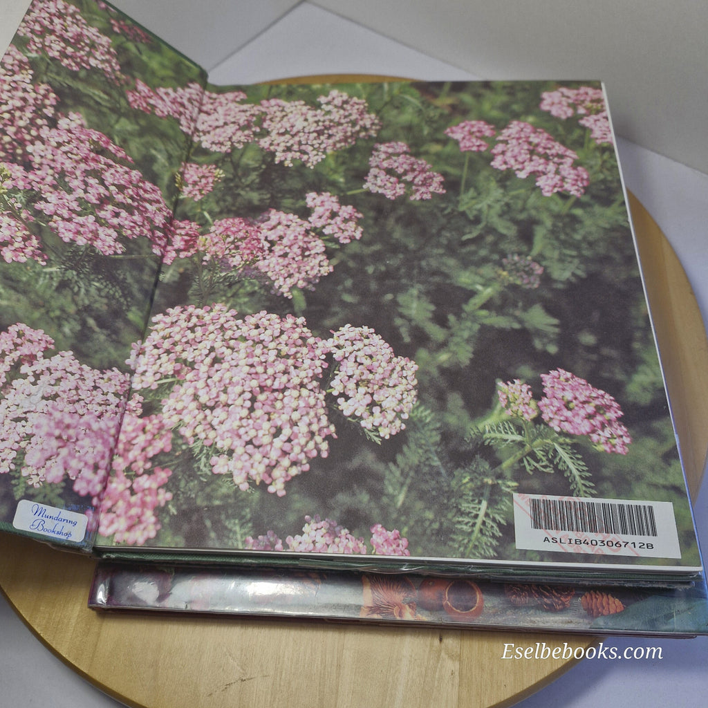 3 books - herbal wreaths/herbal crafts - how to guides - hardbacks