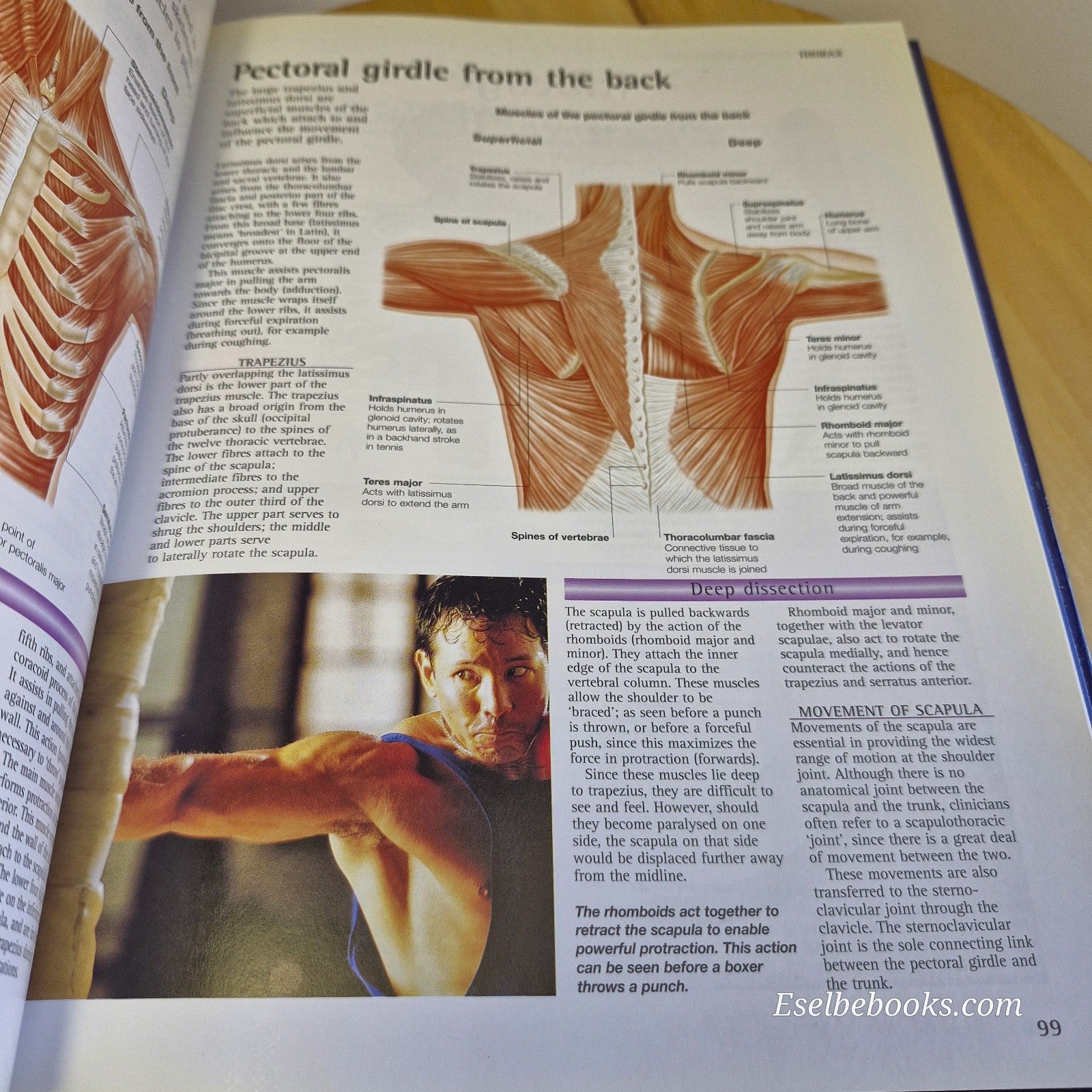 The Atlas of the Human Body: A Complete Guide to How the Body Works by Abrahams