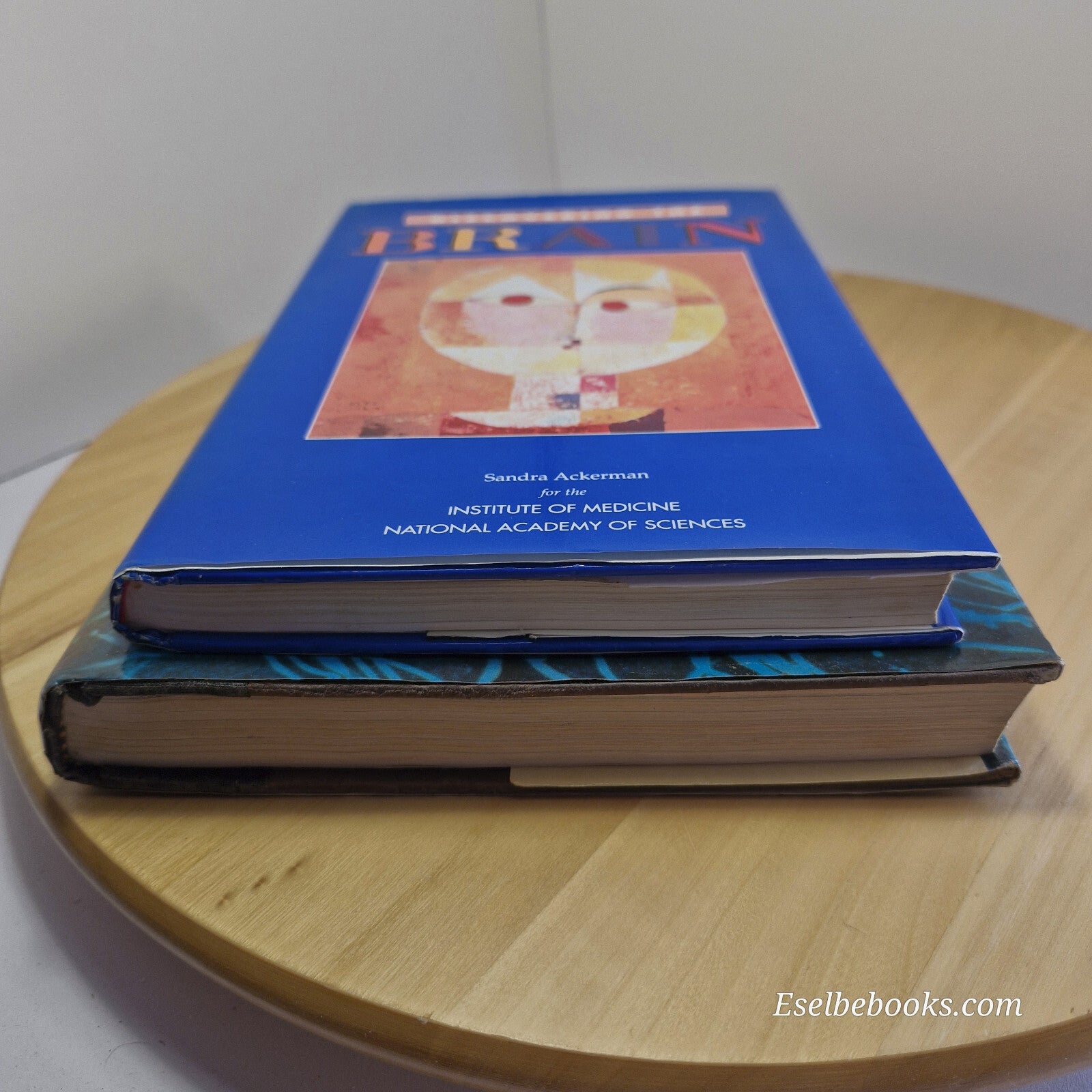 Science: 2 books about the brain - hardbacks