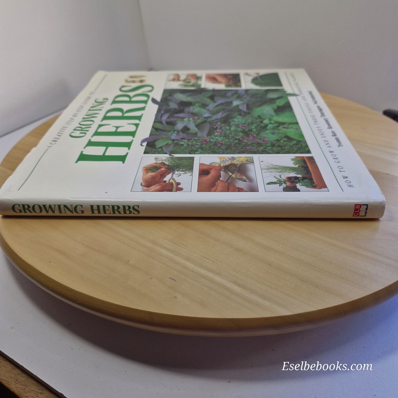 A Creative Step-by-step Guide to Growing Herbs By Yvonne Rees, Rosemary Titte...