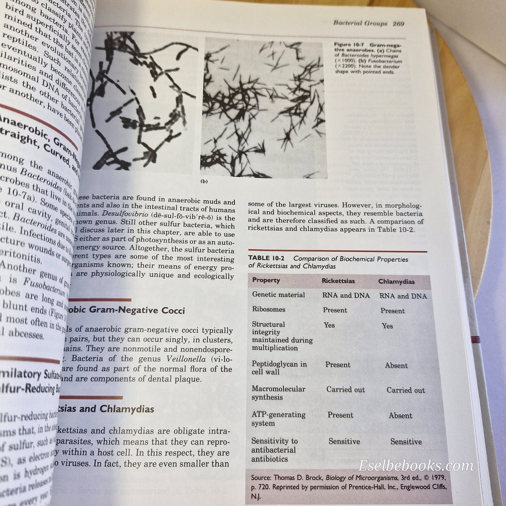 Microbiology - An Introduction - 3rd Edition Tortora/Runke/Case - Hardcover