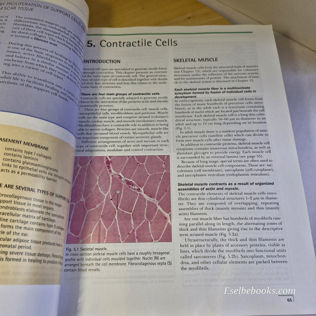 Human Histology 2nd edition by Alan Stevens & James Lowe
